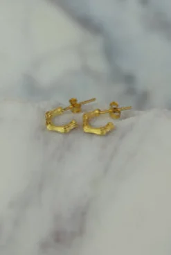 Discount Bamboo Gold Hoops Studs And Hoops|Earrings