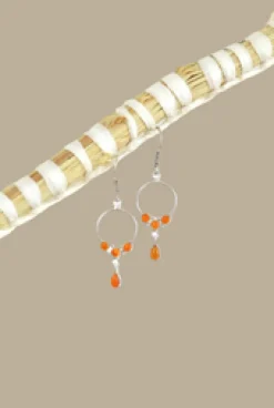 Clearance Carnelian Suki Earrings Earrings