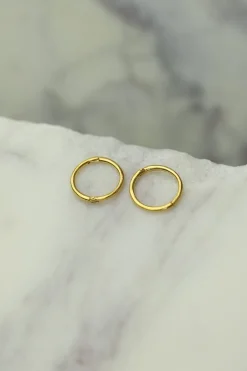 Online Estele Gold Hoops Earrings