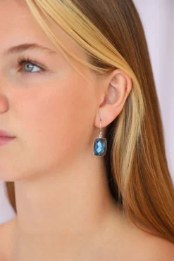 Clearance Faceted Labradorite Earrings Earrings