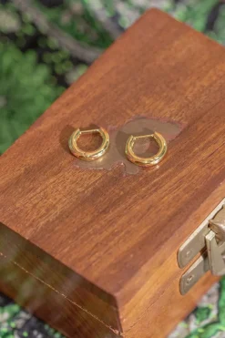 Discount Gold Ana Hoops Studs And Hoops|Earrings