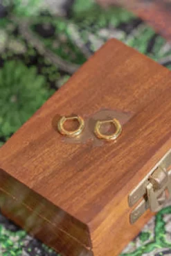 Discount Gold Ana Hoops Studs And Hoops|Earrings