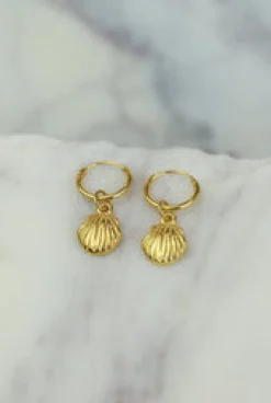 New Gold Clam Shell Earrings Earrings