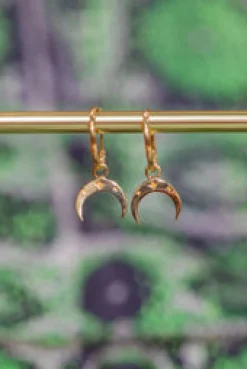 Online Gold Crescent Hoops Earrings