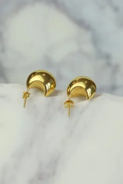 Discount Gold Jali Earrings Studs And Hoops|Earrings