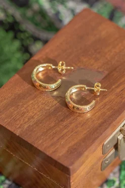 Online Gold Jila Stud Hoops Studs And Hoops|Earrings