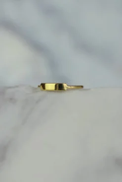 Hot Gold Rectangle Bar Ring Rings