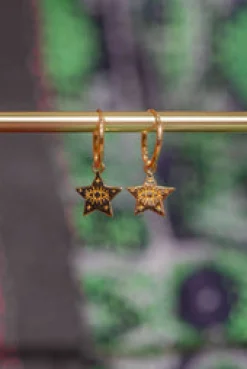 Best Gold Star Eye Hoops Studs And Hoops|Earrings