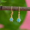 Discount Kian Amazonite Earrings Earrings