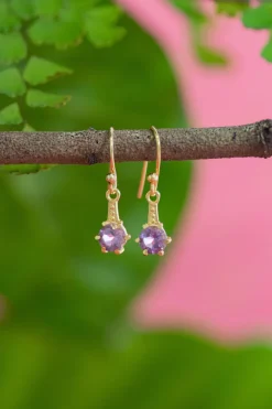Hot Kian Amethyst Earrings Earrings