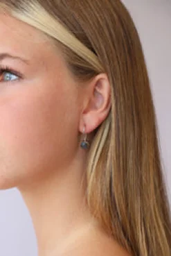 Hot Labradorite Lina Earrings Earrings