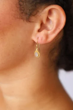 Hot Luna Drop Earrings Fashion Jewellery