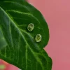 Online Peridot Elly Studs Studs And Hoops|Earrings