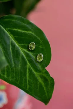 Online Peridot Elly Studs Studs And Hoops|Earrings