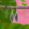 New Rayn Earrings Earrings