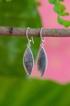 New Rayn Earrings Earrings