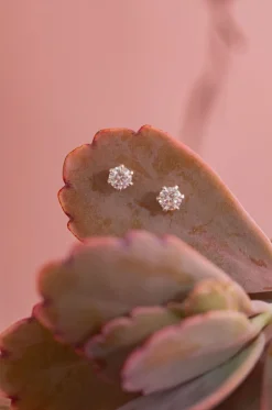 Discount Shimmer Star Studs Studs And Hoops|Earrings