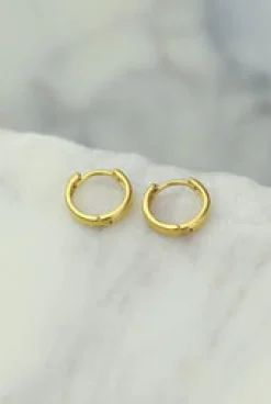 Sale Small Gold Hoops Earrings