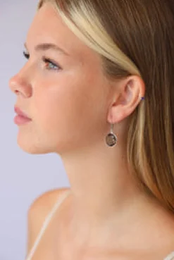 Fashion Smokey Quartz Round Faceted Drops Earrings