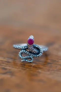 Clearance Textured Snake Ring Rings