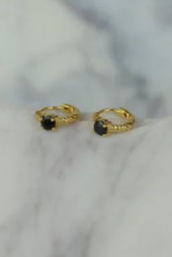 Clearance Vander Gold Hoops Earrings
